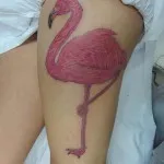 Татуировка стойност фламинго, снимки и най-добрите скечове