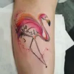 Tatuaj flamingo schițe de valoare în diferite stiluri și fotografii