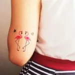 Татуировка фламинго стойност скици в различни стилове и снимки