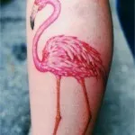 flamingo valoare tatuaj, fotografii și cele mai bune schite