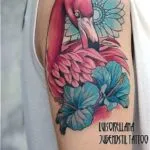 Tatuaj flamingo schițe de valoare în diferite stiluri și fotografii