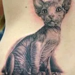 Tattoo Sfinx importanță, fotografii și schițe de cele mai bune