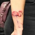 Tatuaj flamingo schițe de valoare în diferite stiluri și fotografii