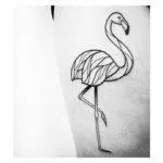 Tatuaj flamingo schițe de valoare în diferite stiluri și fotografii