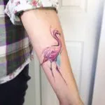 Tatuaj flamingo schițe de valoare în diferite stiluri și fotografii