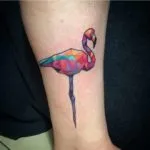 Tatuaj flamingo schițe de valoare în diferite stiluri și fotografii