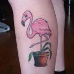 Tatuaj flamingo schițe de valoare în diferite stiluri și fotografii