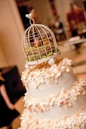 Tema pentru păsări decor nunta