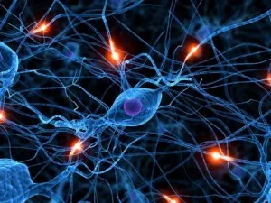 Връзката между нервите и псориазис
