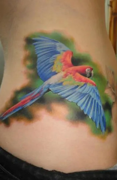 Parrot tatuaj - ceea ce înseamnă schițe tatuaj și fotografii