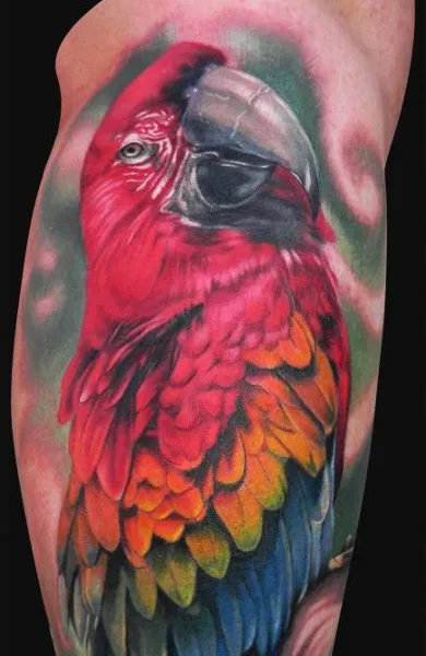 Parrot tatuaj - ceea ce înseamnă schițe tatuaj și fotografii