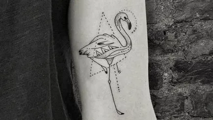 Tatuaj flamingo schițe de valoare în diferite stiluri și fotografii