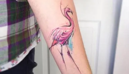 Tatuaj flamingo schițe de valoare în diferite stiluri și fotografii