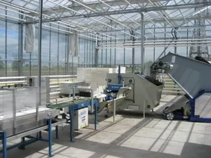 Gép termesztésére saláta, és a zöld növények hydroponically - SCHETELIG