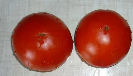 Tomate „labă de urs“ - caietul de sarcini și soiuri, localizare, recenzii, fotografii tomate