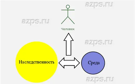 Теорията на конвергенцията