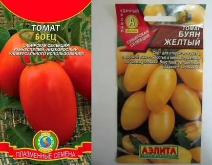 Tomate - scandalagiu - (luptator), caracteristic soiurilor, plantare, în special