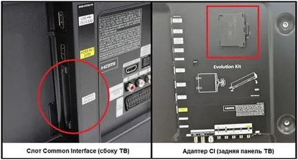 tricolor modul