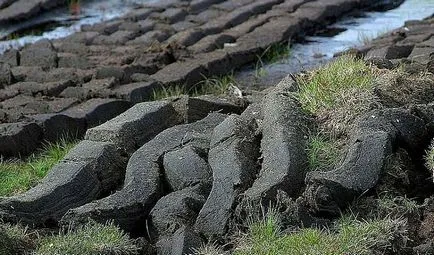 Tőzeg, a folyamat kialakulásának és alkalmazási módszereket