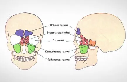 Orr Sérülés osztályozása sérülések, okok, diagnosztikai, gondoskodás