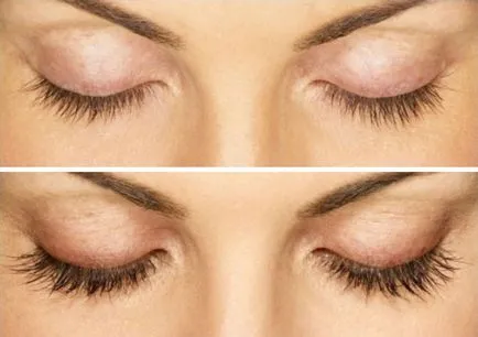 rimel lash Maxi pentru lash - comentarii, instrucțiuni, pret