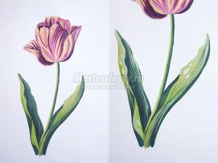 tulipán gouache