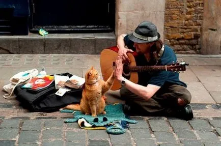 Уличен музикант и котка на име Боб - всички - играта