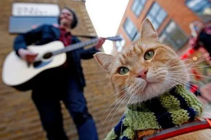 Utcai zenész és egy macska nevű Bob - összes - a játék