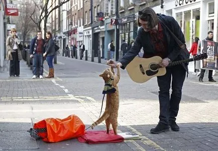 Уличен музикант и котка на име Боб - всички - играта