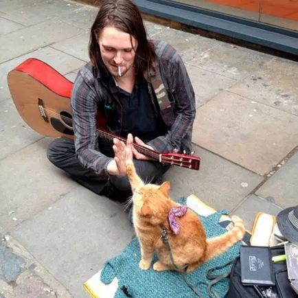 Utcai zenész és egy macska nevű Bob - összes - a játék
