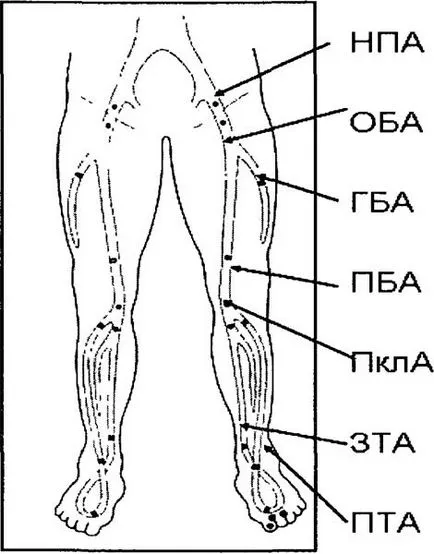 Ultrahang vizsgálat fő artériák az alsó végtagok