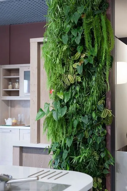 pereți de grădinărit verticale în apartament și în design peisagistic în țară, plante, flori,
