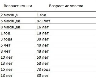 Възраст котки в човешки условия - методи за превод