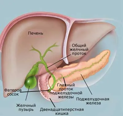 Възпаление на жлъчния мехур