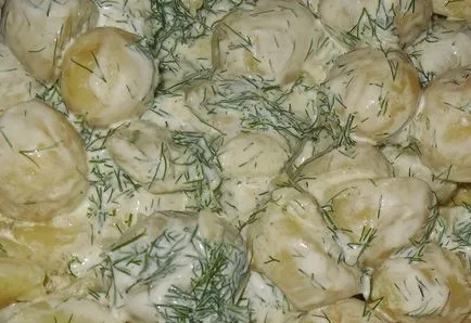 cartofi noi delicioase în smantana cu marar si usturoi - cum să gătească un delicios cartofi noi