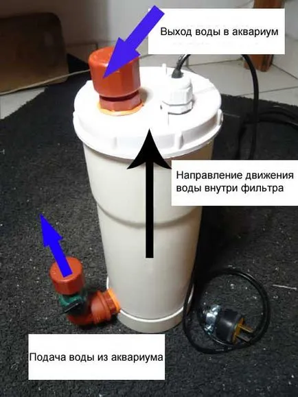 canistră filtru extern la acvariu cu propriile lor mâini în fotografii elementare