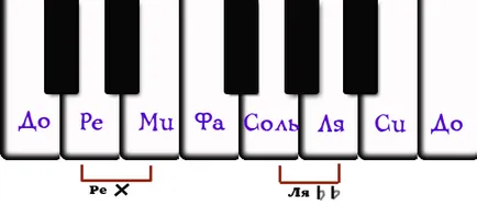 structura muzicală