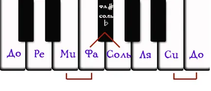 structura muzicală