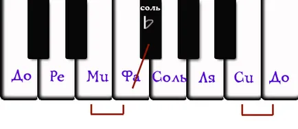 structura muzicală