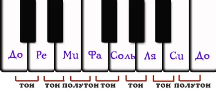 structura muzicală