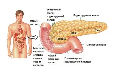 Pot fuma în consecințe pancreatite ale unui obicei prost