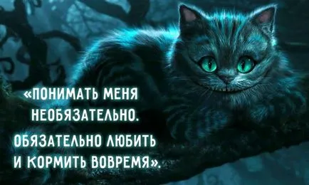 Мъдростта Cheshire котка