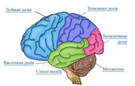 creier SIDA Visual copilului - Monitorul medical