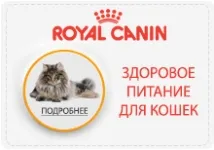 Saját WC FERPLAST prima macskák aktív szénszűrővel, a választék a vásárlás Moszkvában, az ár