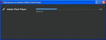 Adobe Flash Player letöltése, a számítógépre telepített és frissítés