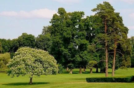 Chantilly Castle - módszerek leírását a folyosón, miközben dolgozik, fotók