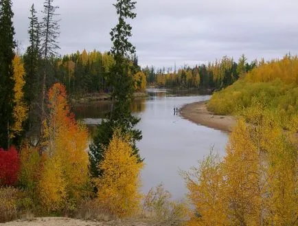 Западен Сибир