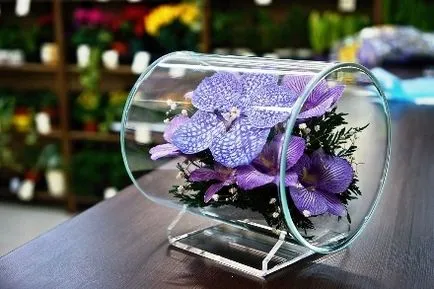 Természetes virágok vákuumban vagy üveg
