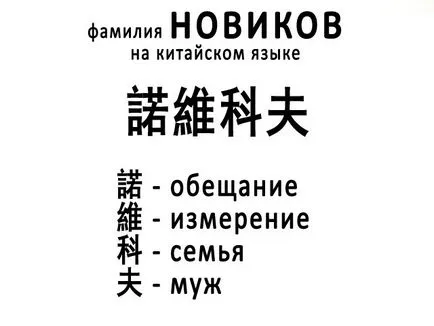 Новиков семействата на значението и произхода