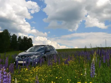 5 cenți murano nissan (Nissan Murano) CVT